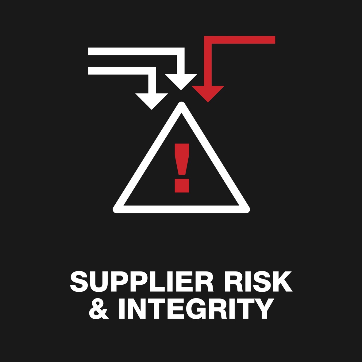 Supplier Risk